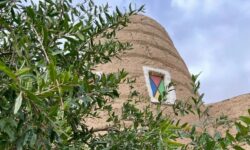 Abha-Explore Aseer’s flavours & history (1)