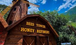 Abha-Explore Aseer’s flavours & history (1)