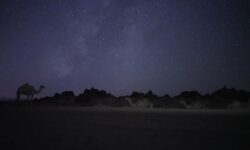 AlUla-A magical evening (5)