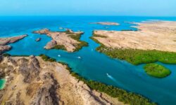 JAZAN-Farasan Islands (2)