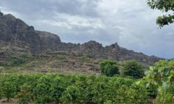 JAZAN-Wadi Lajab Farms and Hiking Adventures (1)