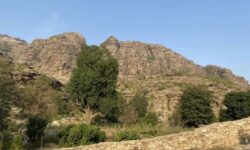 JAZAN-Wadi Lajab Farms and Hiking Adventures (1)