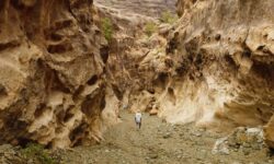 JAZAN-Wadi Lajab Farms and Hiking Adventures (1)