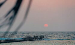 JEDDAH-Embark on a kayaking adventure in KAEC (2)
